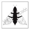 Pack 6 coloriages version cadre – Image 4