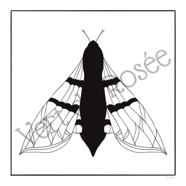 Pack 6 coloriages version cadre – Image 4
