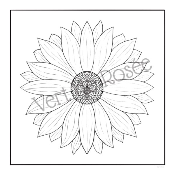 Pack 6 coloriages version cadre – Image 3