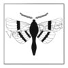 Pack 6 coloriages version cadre – Image 2