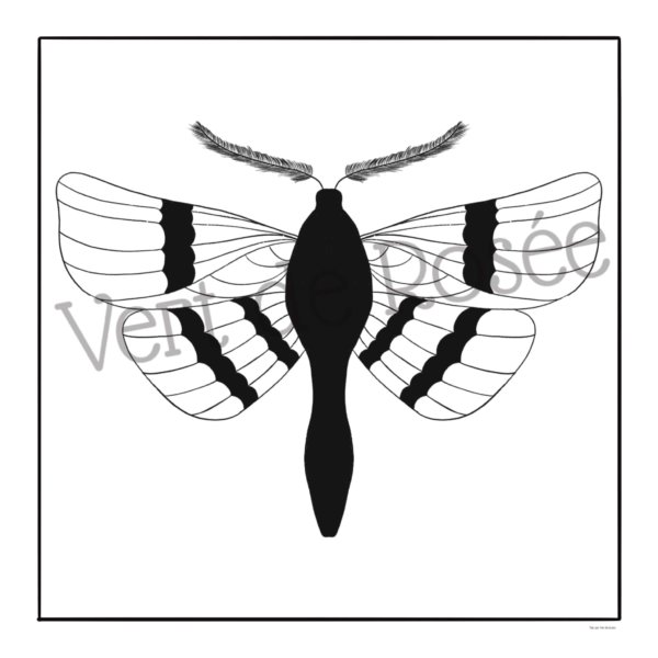 Pack 6 coloriages version cadre – Image 2