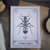 Offre Trio - Le pack de 3 illustrations – Image 6