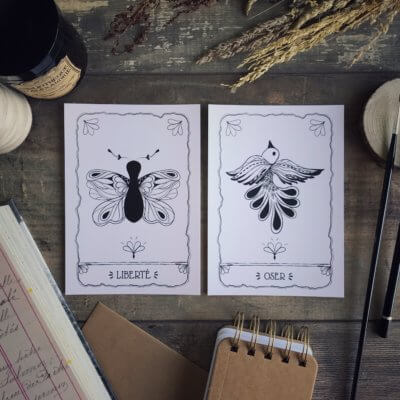 Offre Duo – Le combo Papillon & Phénix