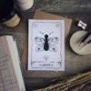 Offre Trio - Le pack de 3 illustrations – Image 2