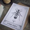 Offre Trio - Le pack de 3 illustrations – Image 7
