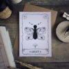 Offre Duo - Le combo Papillon & Phénix – Image 3
