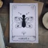 Libre comme un papillon – Image 4