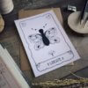 Libre comme un papillon – Image 3