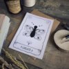 Libre comme un papillon – Image 2