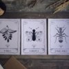Offre Trio - Le pack de 3 illustrations – Image 8