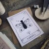 Offre Trio - Le pack de 3 illustrations – Image 3