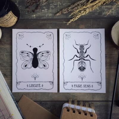 Offre Duo – Le combo Papillon & Fourmi